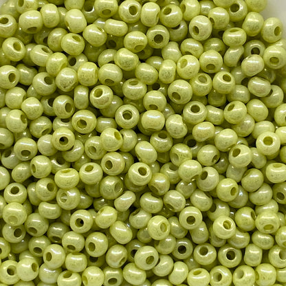 16486 Seed Beads 10/0 Preciosa